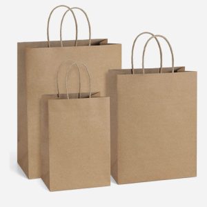 Customized Paper Bag Crafts