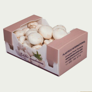 Custom Mushroom Boxes