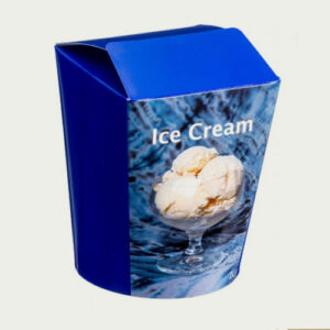 custom ice cream box packaging