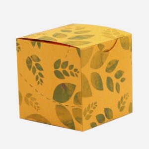Custom Cube Box packaging